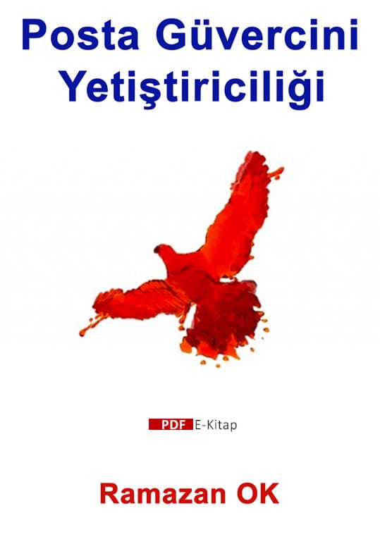 posta güvercini yetiştiriciliği posta güvercini yetiştiriciliği